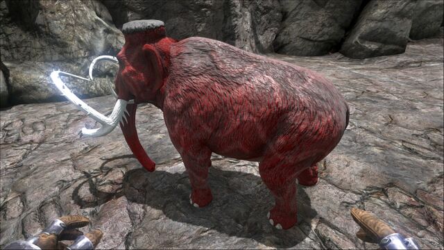 File:Mammoth PaintRegion0.jpg