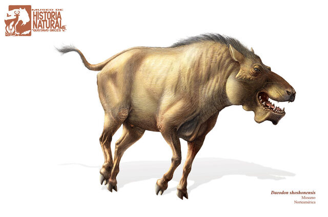File:Daedon shoshonensis v 2 1 by pabluratops.jpg