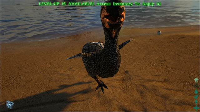 File:ARK-Dodo Screenshot 006.jpg