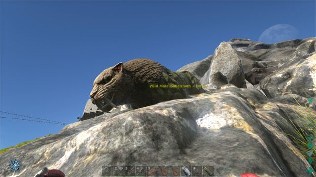 File:ARK-Sabretooth Screenshot 003.jpg