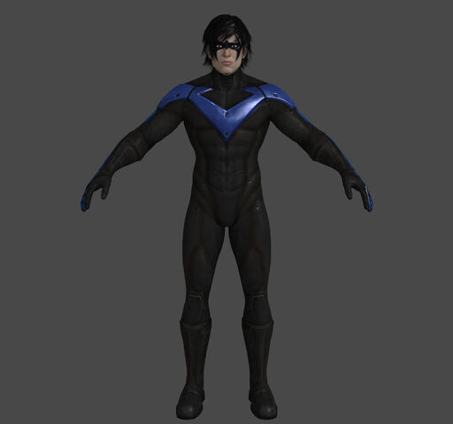 File:ACModelNightwing.jpg