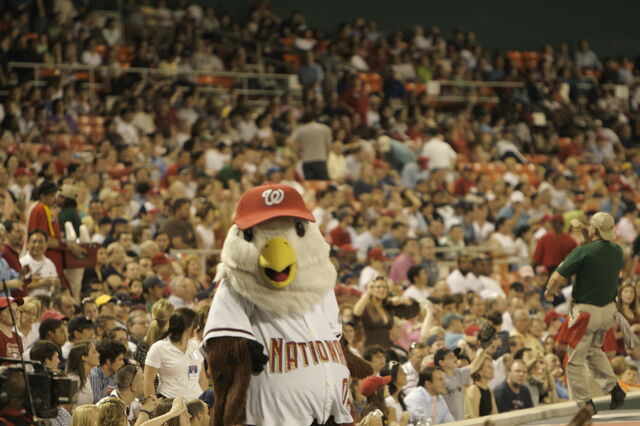 File:Washington Nationals-1199765173-137.jpg