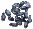 File:1187038626 Seeds.jpg