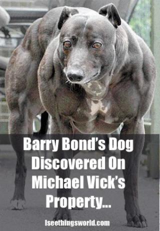 File:Bbondsdog.jpg