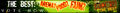Thumbnail for version as of 14:20, September 6, 2010