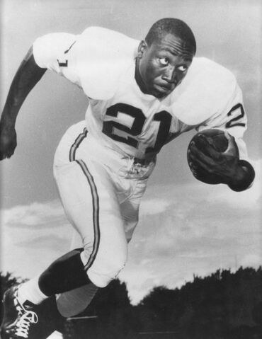 File:Player profile Dave Webster.jpg