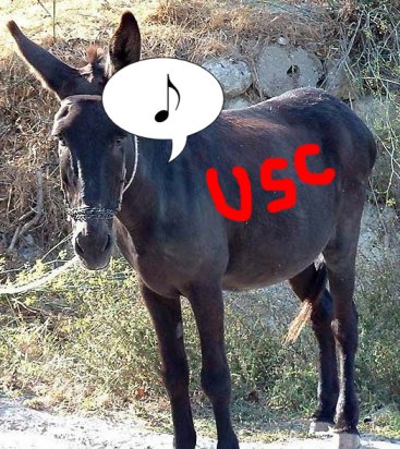 File:Usc song girl ass.jpg
