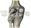 Thumbnail for version as of 14:44, September 6, 2010