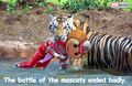 Thumbnail for version as of 14:55, September 6, 2010