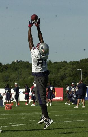 File:1187624404 Moss.jpg