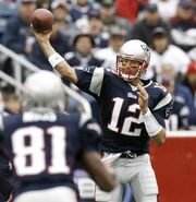 Bradymoss