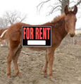 Thumbnail for version as of 15:59, September 6, 2010