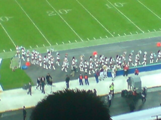 File:Miami Dolphins -1195665271-786.jpg