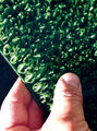 Thumbnail for version as of 15:46, September 6, 2010