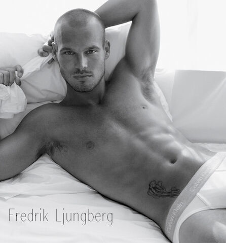 File:Fredrik-Ljungberg2.jpeg