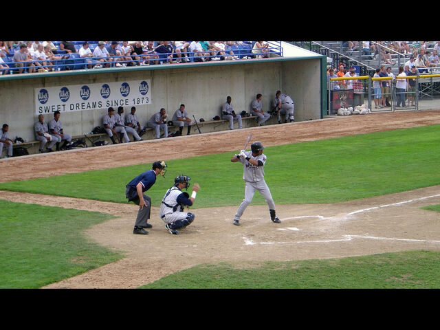 File:Minor League Baseball-1201028880-42.jpg