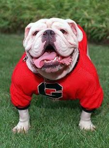 UGA