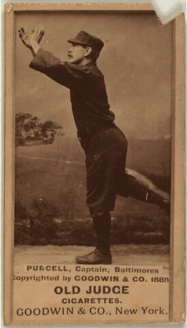 File:Player profile Blondie Purcell.jpg