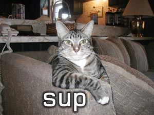 File:Sup.jpg