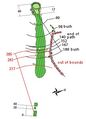 Thumbnail for version as of 16:45, September 6, 2010
