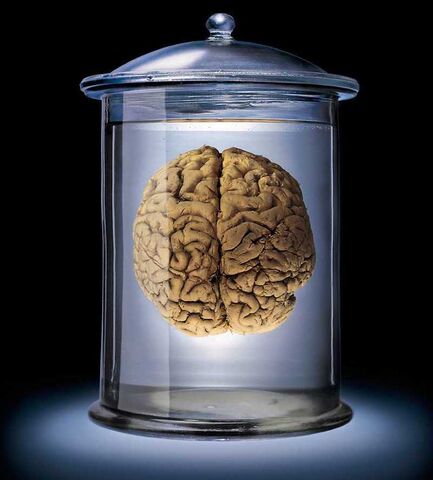 File:1189971035 Braininjar.jpg