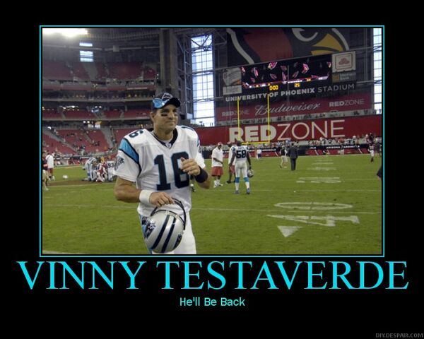 File:Carolina Panthers.jpg