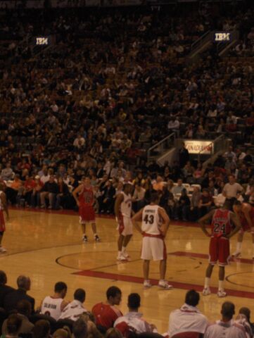 File:1201827718 Raptors 020.jpg