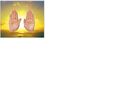 Thumbnail for version as of 17:16, September 6, 2010