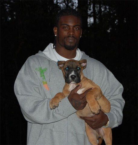 File:Michael vick dog1.jpeg