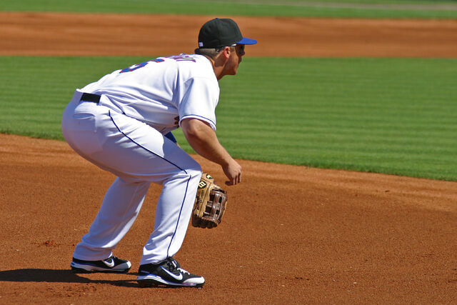 File:"David Wright"-1194883542-487.jpg