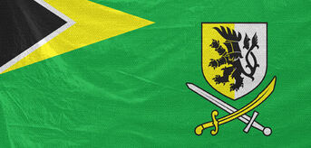 AAF Flag