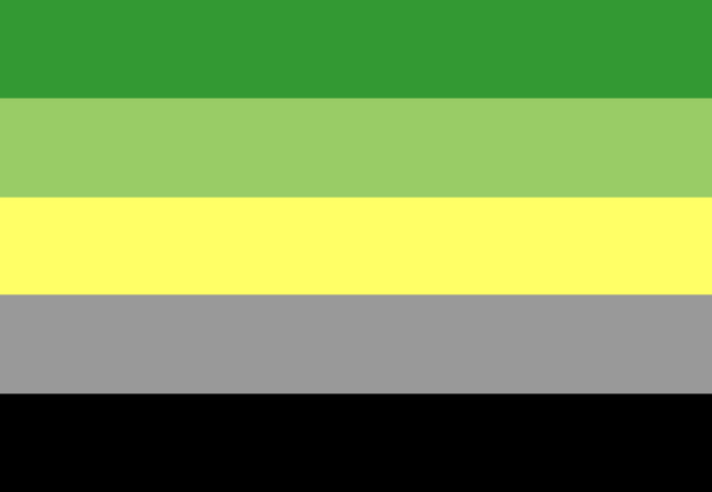 File:Aromantic flag.png