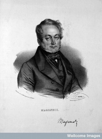 Ficheiro:Magendie.jpg