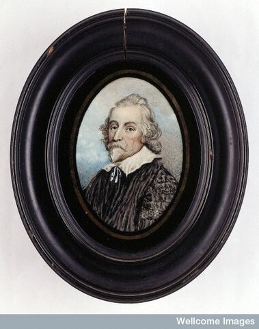 Ficheiro:W.harvey espelho.jpg