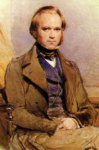 Ficheiro:Darwin.jpg