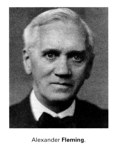 Ficheiro:Alexander F.jpg