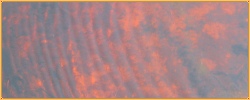 Roterfluss.jpg