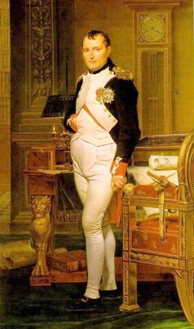 File:Napoleon bonapartes portrait.jpg