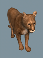 Puma animus.png