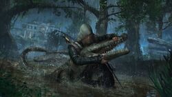 AC4-Nassau CrocodileHunter