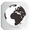 Realworld.png