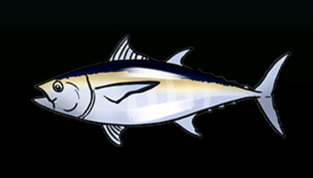 File:BlackfinTunaACP.png
