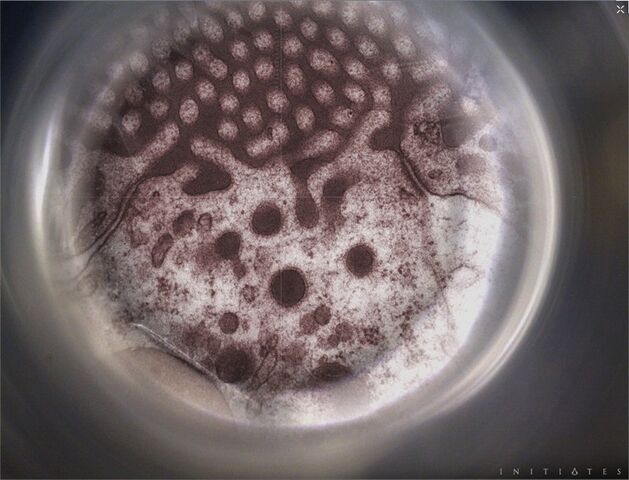 File:ACIMolecularMachine.jpg