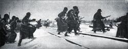 ACI Operation Silver Fox