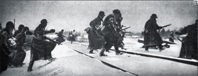 File:ACI Operation Silver Fox.jpg