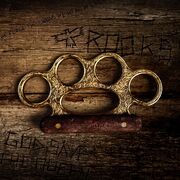ACS - Brass Knuckles.jpg