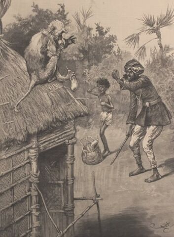 File:ACS DB Illustration9.jpg