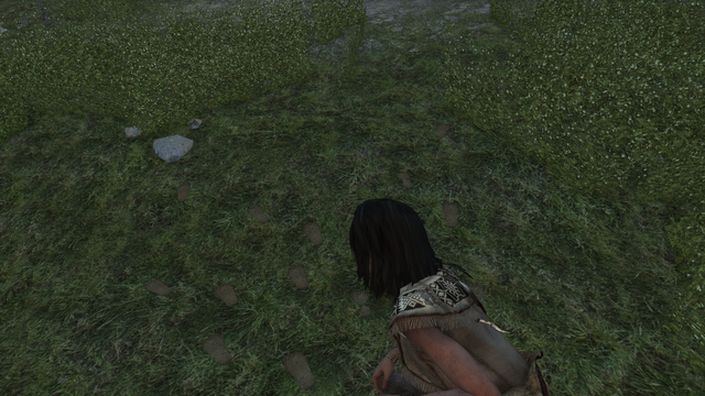 File:ACIII-HideandSeek 4.png