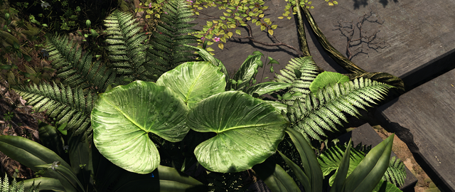File:ObservatoryFoliage.png