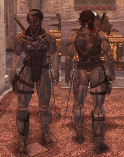 Ezio-raiden-brotherhood